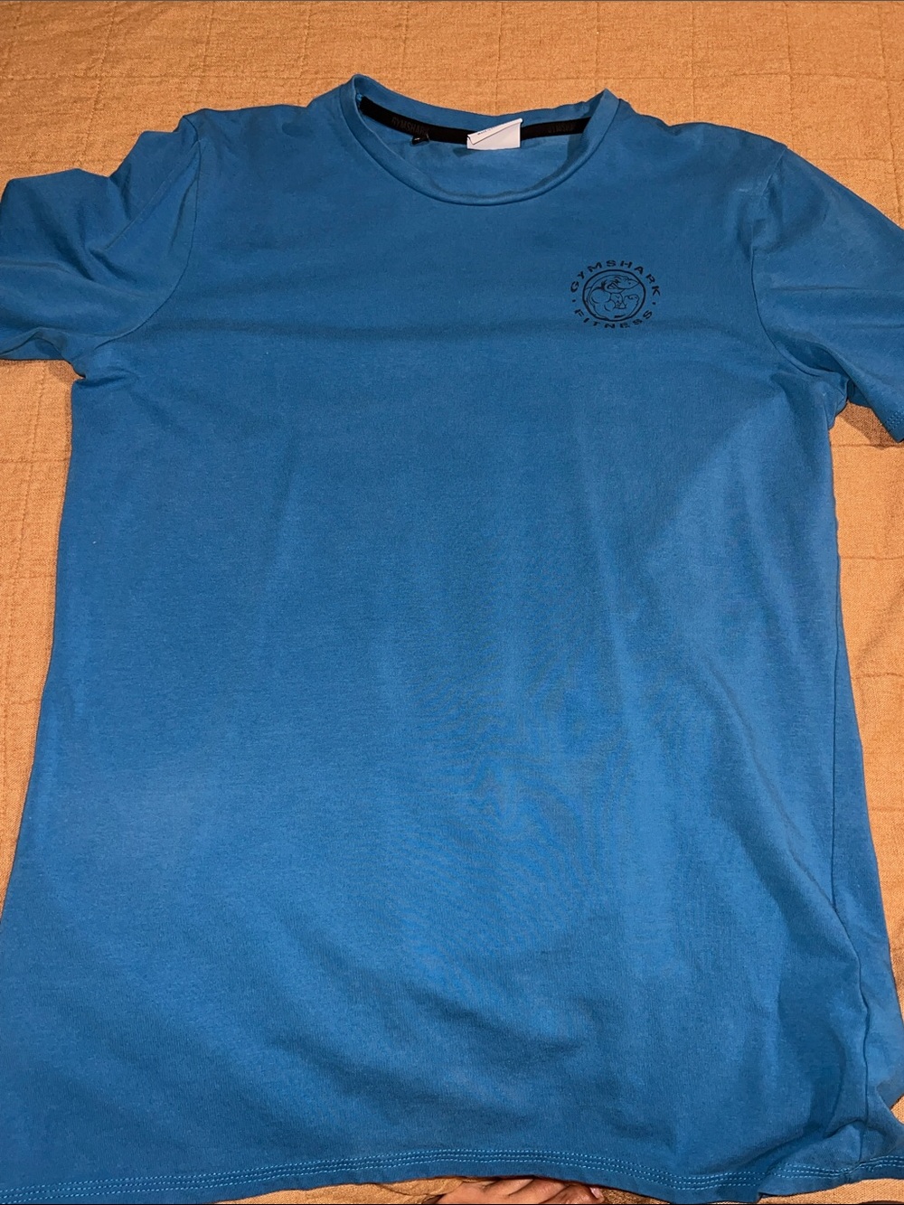 Gymshark Teal/Blue Men's Crew Neck Short Sleeve Tee